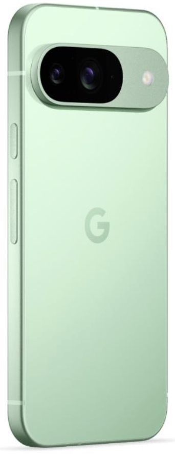 Смартфон Google Pixel 9 12/256GB Wintergreen (Global)