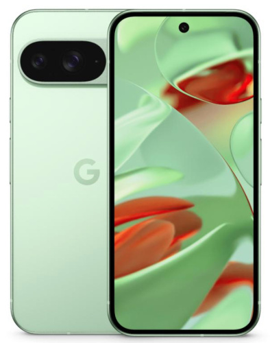 Смартфон Google Pixel 9 12/256GB Wintergreen (Global)