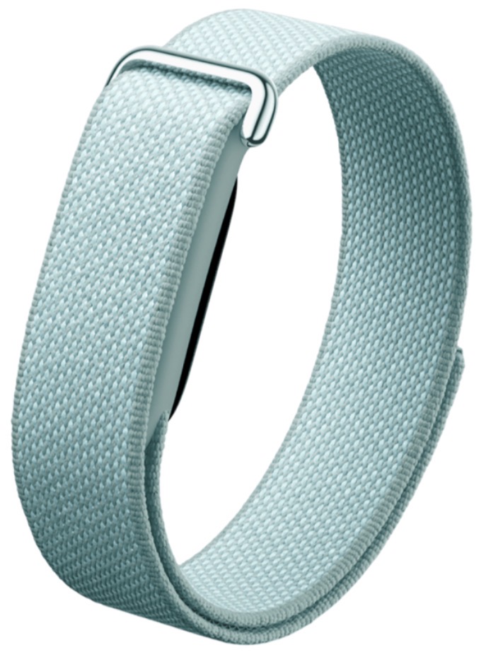 Фитнес-браслет Google Fitbit Air Fog
