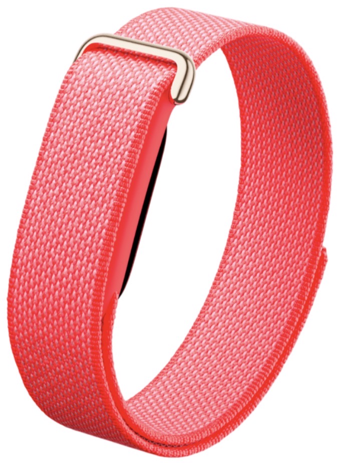 Фитнес-браслет Google Fitbit Air Berry
