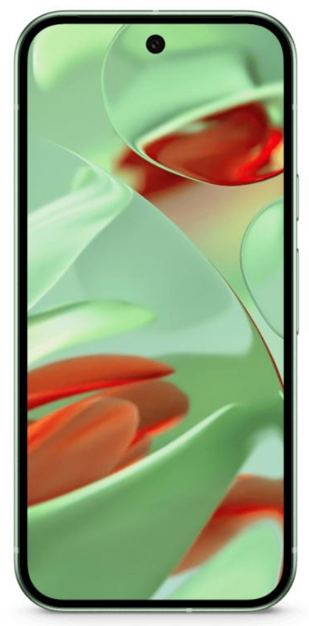 Смартфон Google Pixel 9 12/256GB Wintergreen (Global)