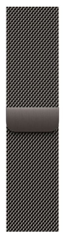 Часы Apple Watch 11 42mm Slate Titanium Case Slate Milanese Loop