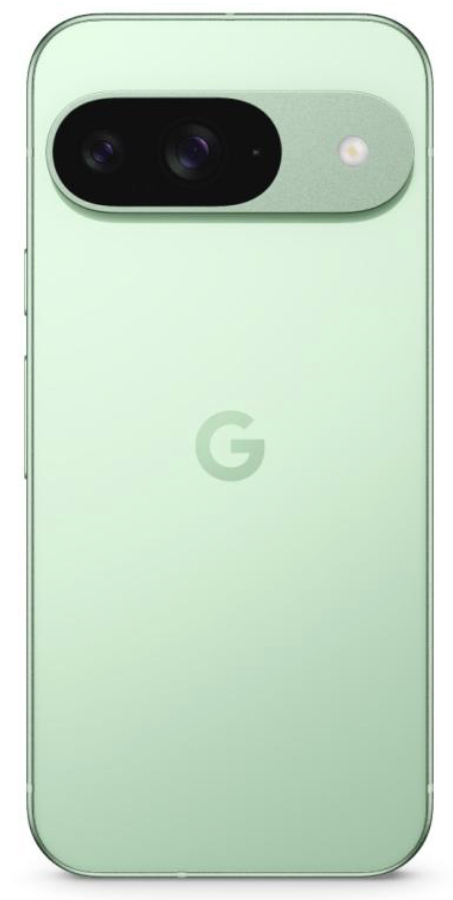Смартфон Google Pixel 9 12/256GB Wintergreen (Global)